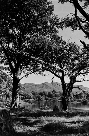 SLISH MOUNTAIN FROM W.END OF CHURCH ISLAND